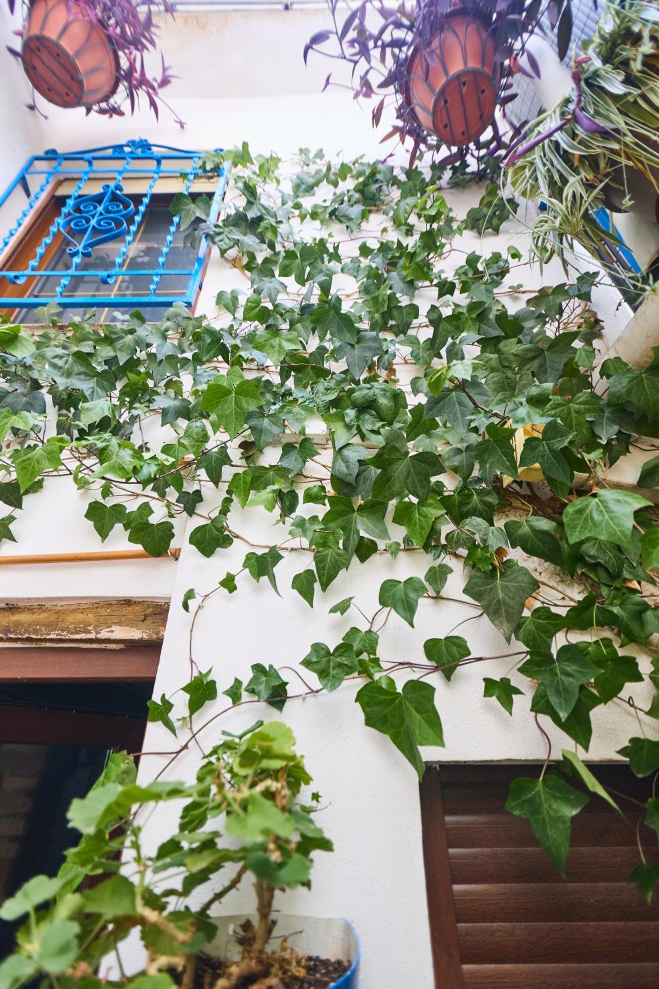 Casa El "Tablao De Las Almendras" Granada Luaran gambar